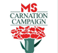MS Carnation Campaign